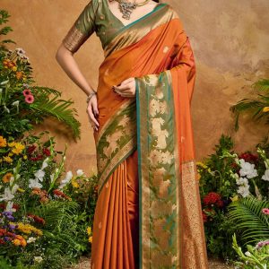 Brown Soft Banarasi Silk Saree With Elision Blouse Piece